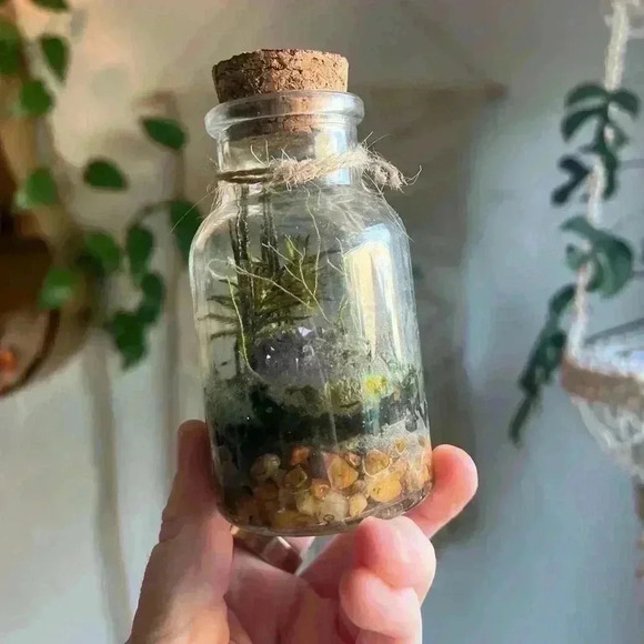 Mini Moss Terrarium with Amethyst Crystal enchanted fairy Cottagecore Witchy - Picture 3 of 6